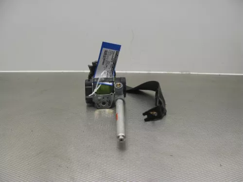 Gordelspanner rechts achter-7894731