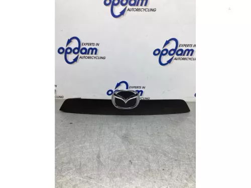 Handgreep Achterklep-7922949