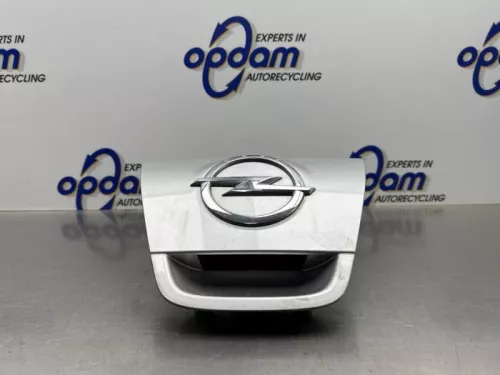 Handgreep Achterklep-8323725