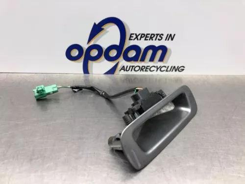 Handgreep Achterklep-8194040