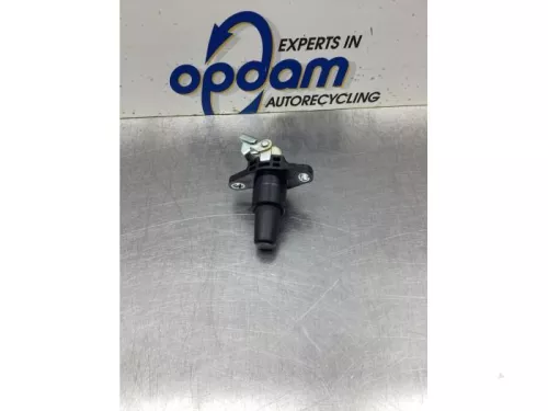 Handgreep Achterklep-8046884