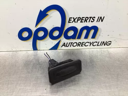 Handgreep Achterklep-8067282