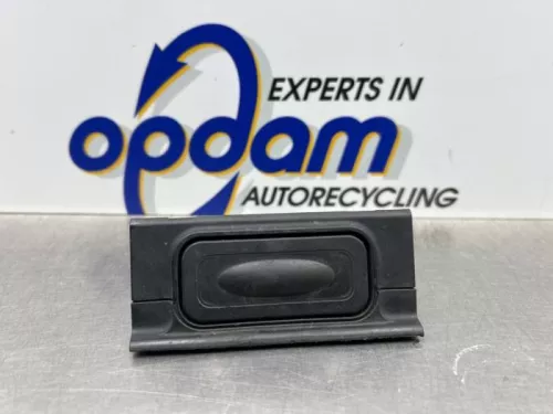 Handgreep Achterklep-8262715