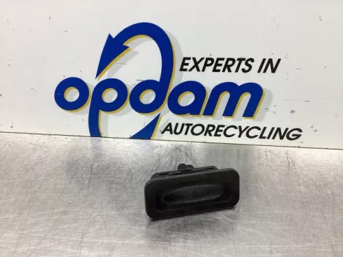 Handgreep Achterklep-8024426