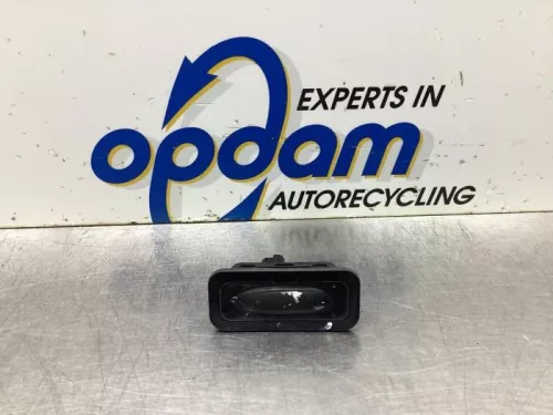 Handgreep Achterklep-8113933