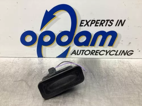 Handgreep Achterklep-7923783