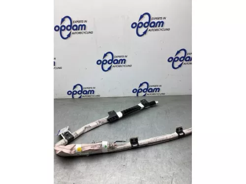 Hemel Airbag-8300843