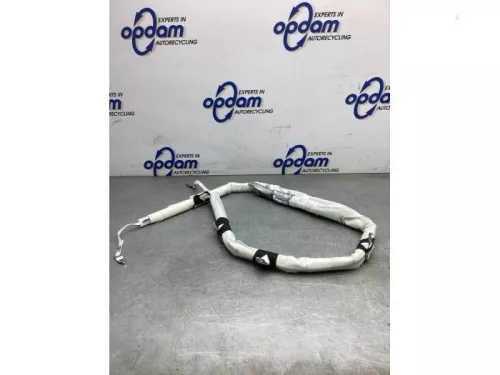 Hemel Airbag-8202418