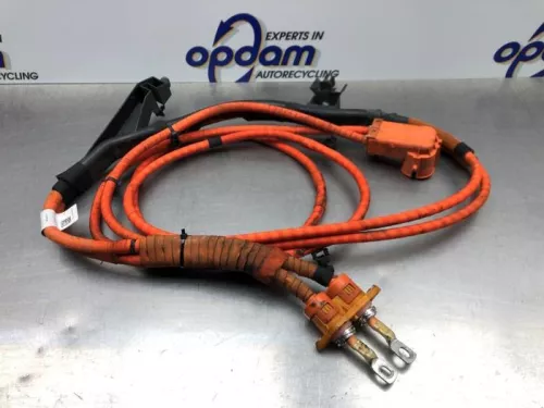 HV kabel (hoog voltage)-8103069