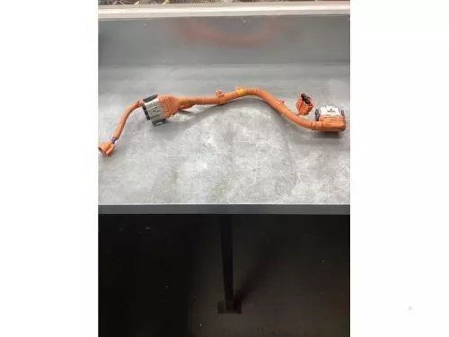 HV kabel (hoog voltage)-8035501