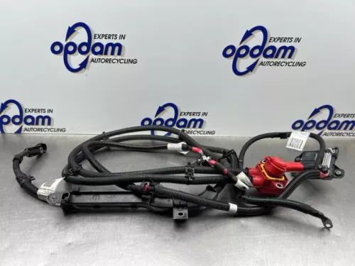 HV kabel (hoog voltage)-8246769