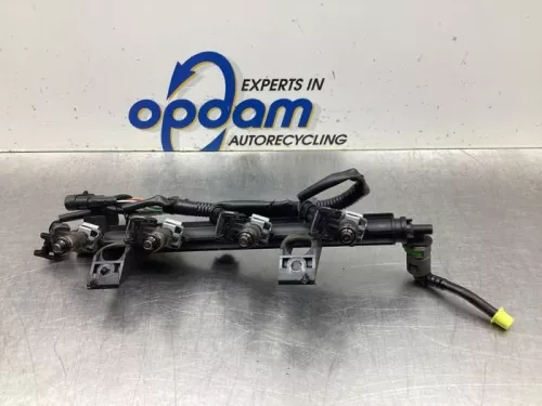 Injector (benzine injectie)-8080470