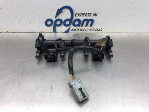 Injector (benzine injectie)-8144295