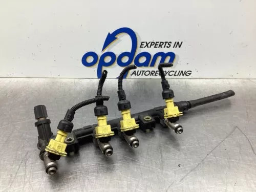 Injector (benzine injectie)-8024452