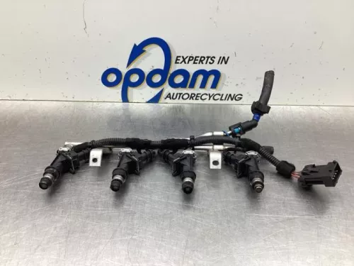 Injector (benzine injectie)-8040208