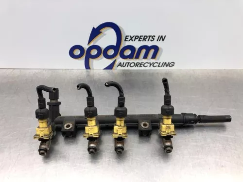 Injector (benzine injectie)-8173609