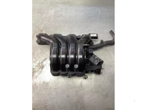 Inlaatspruitstuk-7844802