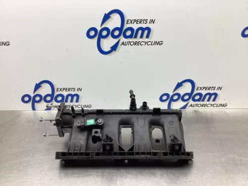 Inlaatspruitstuk-7942250