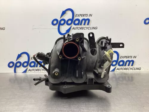 Inlaatspruitstuk-8031254