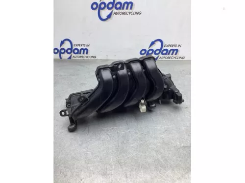 Inlaatspruitstuk-7764678