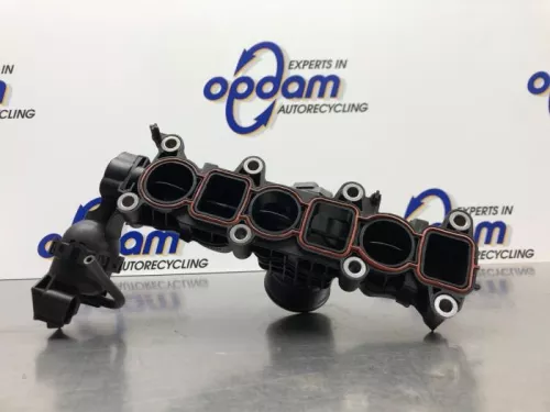 Inlaatspruitstuk-8147331