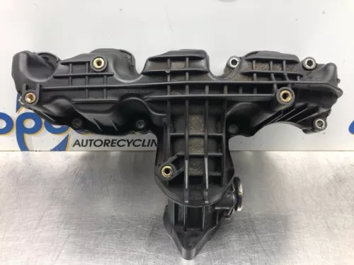 Inlaatspruitstuk-7977705