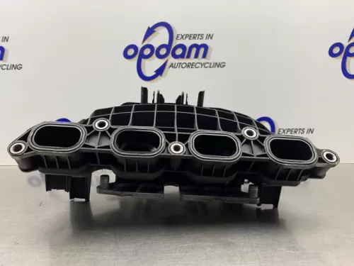 Inlaatspruitstuk-8133977