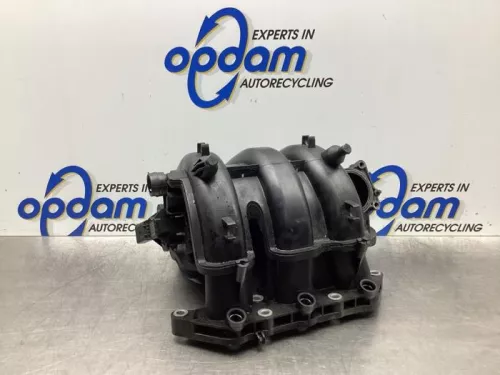 Inlaatspruitstuk-7932534