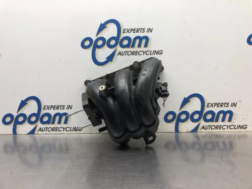 Inlaatspruitstuk-7891020