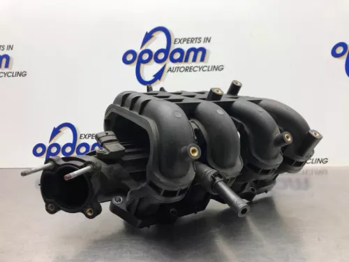 Inlaatspruitstuk-8173721