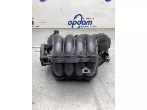 Inlaatspruitstuk-8127472