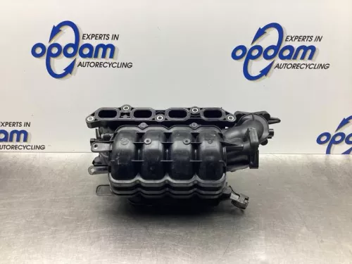 Inlaatspruitstuk-7881369