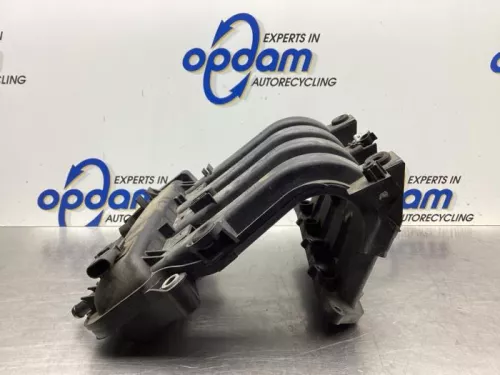 Inlaatspruitstuk-7990443