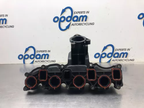 Inlaatspruitstuk-8126133