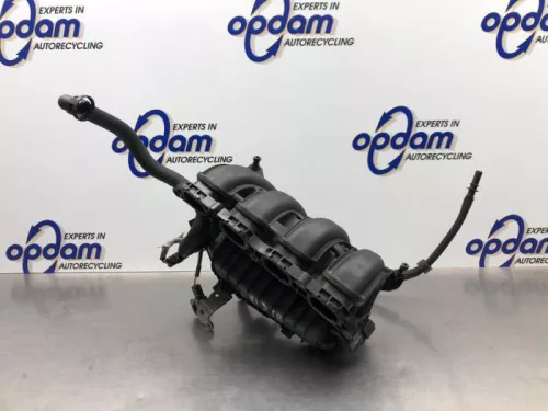 Inlaatspruitstuk-8206120