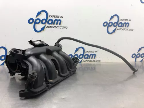 Inlaatspruitstuk-8062820