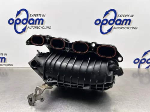 Inlaatspruitstuk-8300700