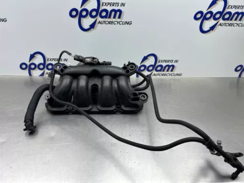 Inlaatspruitstuk-8170330