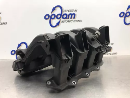 Inlaatspruitstuk-8174457