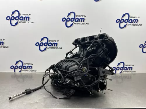 Inlaatspruitstuk-8309861