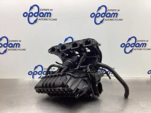 Inlaatspruitstuk-8024313