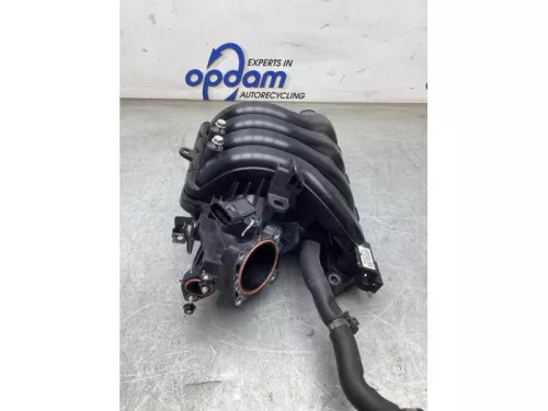 Inlaatspruitstuk-8044524