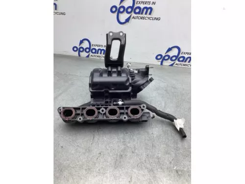 Inlaatspruitstuk-7857060