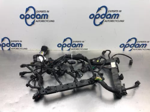 Kabelboom motorruimte-